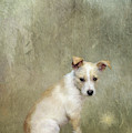 Jack-Jack