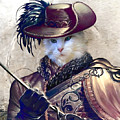 Remy the Swashbuckler