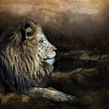 The True King